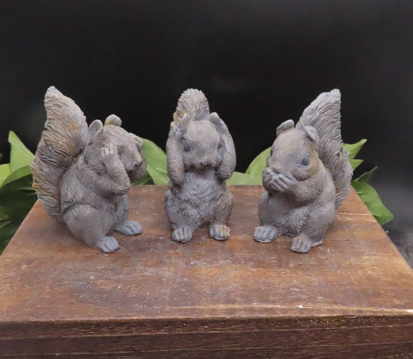 Squirrel Soap Set