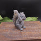 Squirrel Soap Set